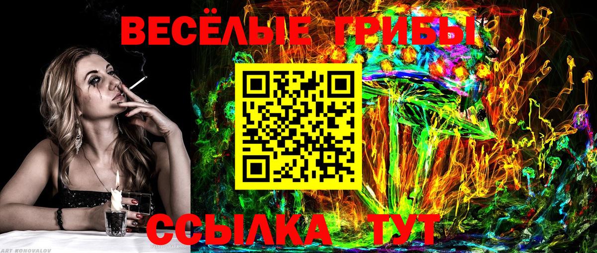 Галлюциногенные грибы GOLDEN TEACHER Звенигород