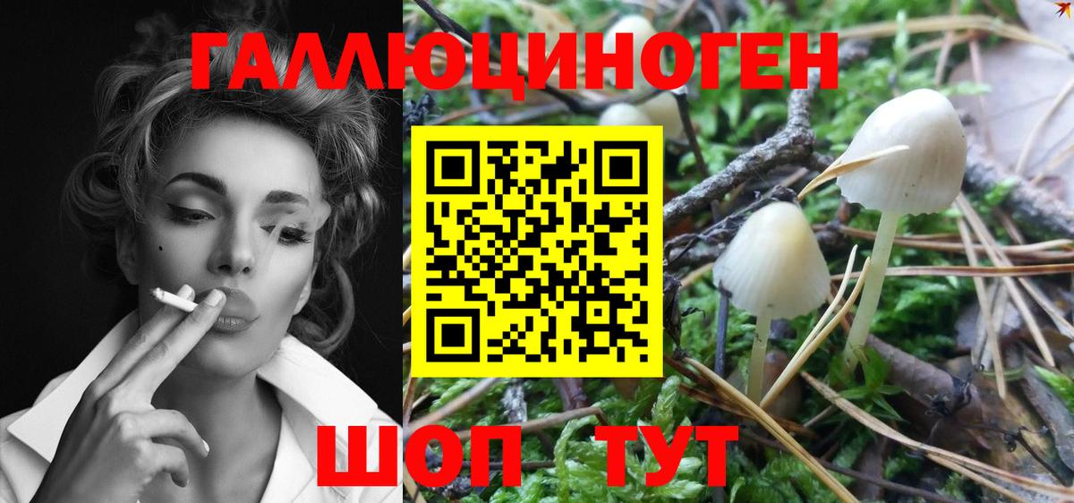 цена   Вход с VPN  Звенигород  Псилоцибиновые грибы Magic Shrooms  Псилоцибиновые грибы прущие грибы 